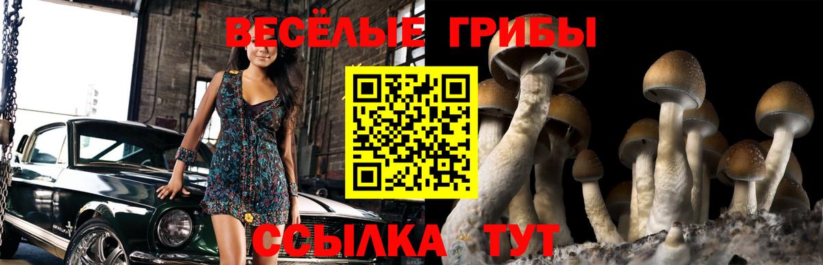 Галлюциногенные грибы ЛСД  Галлюциногенные грибы Magic Shrooms  Вход с VPN  Заречный 